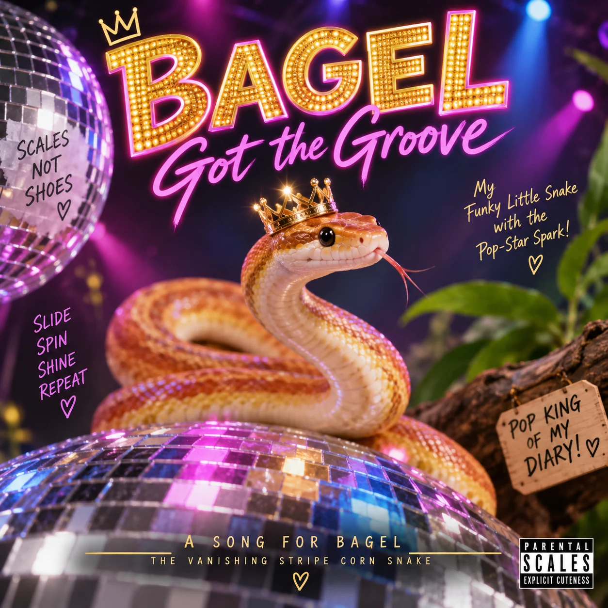 Bagel’s Got the Groove cover